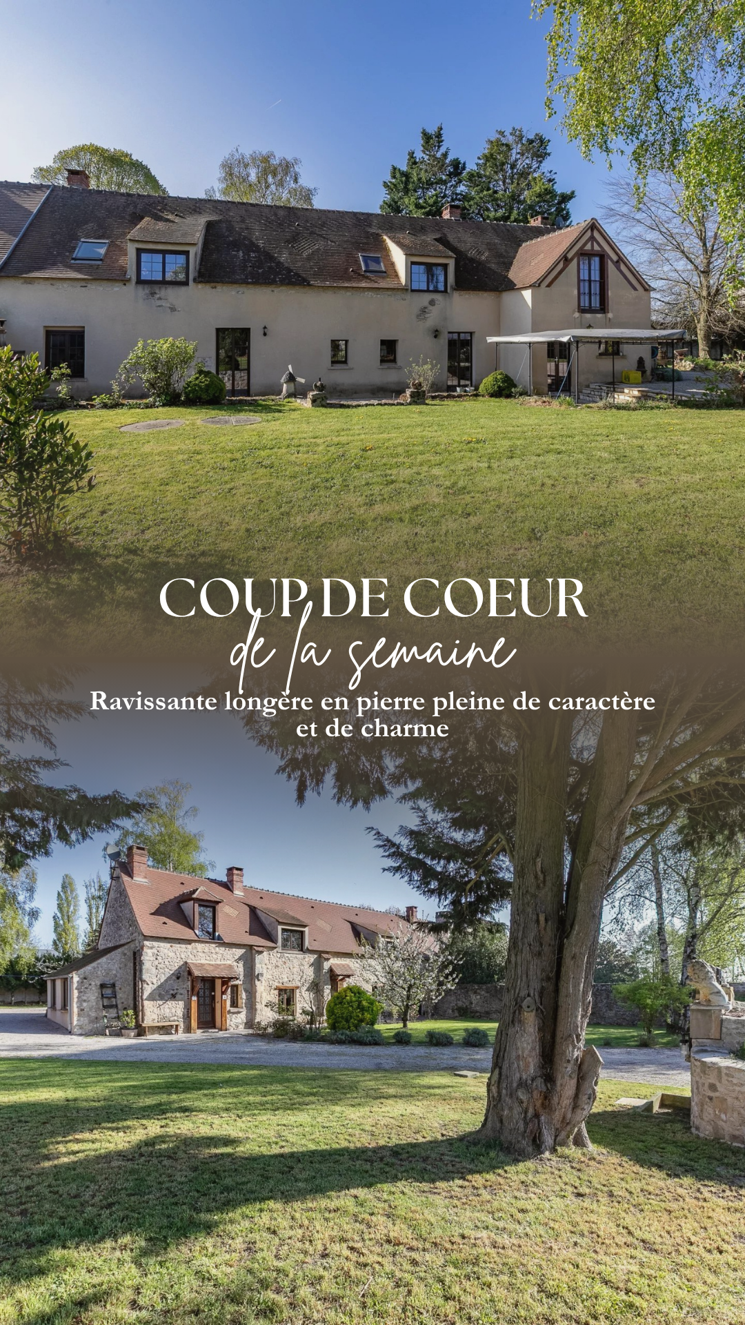 Annonce premium
